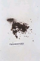 藏品(濕地苔屬)的圖片